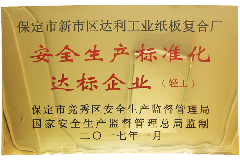 安全生產(chǎn)標準化達標企業(yè)-河北彩色紙板廠家